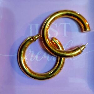 Elegant Gold Hoop Earrings